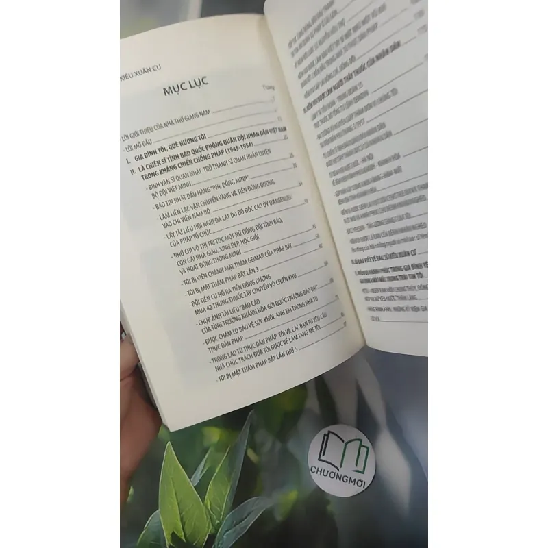 Niềm Vui Cuộc Đời - Kiều Xuân Cư 1018924