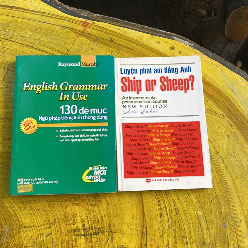 COMBO ENGLISH GRAMMAR IN USE & LUYỆN PHÁT ÂM TIẾNG ANH SHIP OR SHEEP? 130 đề mục Ngữ pháp 737750