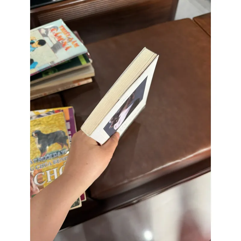 Anh Ấy Đã Không Nắm Tay Tôi – Hiên | Tản văn tình cảm chạm đến trái tim- K4 1029486