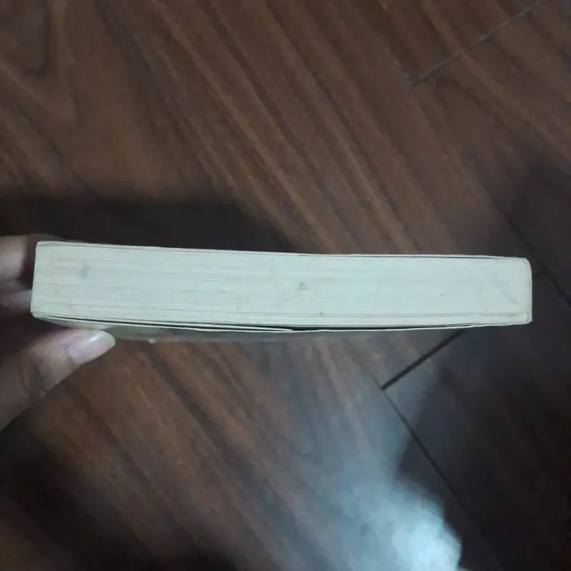 Mơ về phía anh - ngải mễ 706574