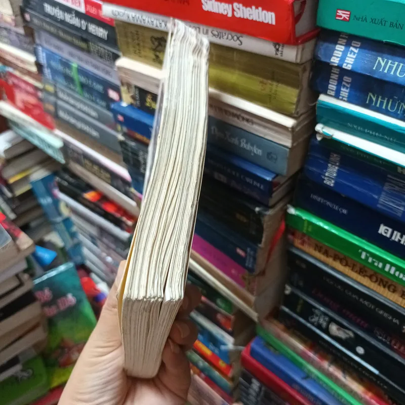 Một Số Phận Kỳ Lạ- Hampateba 693003