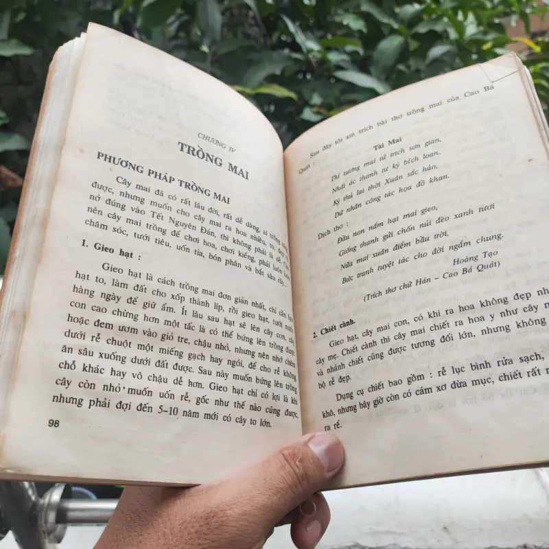 Kỹ Thuật Trồng Và Ghép Mai - Huỳnh Văn Thới 928913