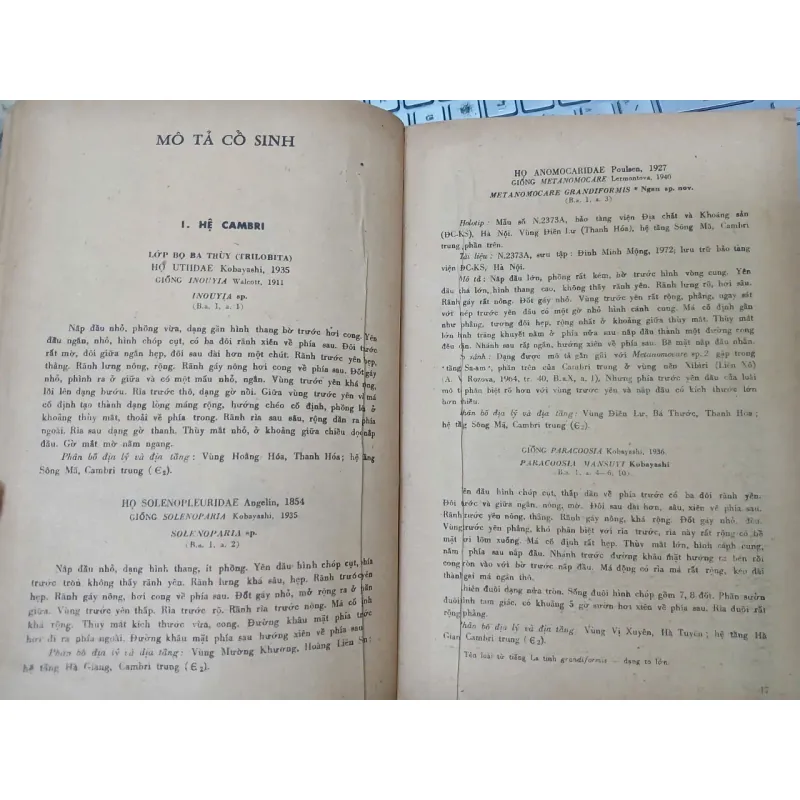 HÓA THẠCH ĐẶC TRƯNG Ở MIỀN BẮC VIỆT NAM 687720