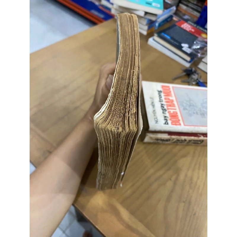 Biển cái nôi của sự sống - Lý Thái Thuận 127203