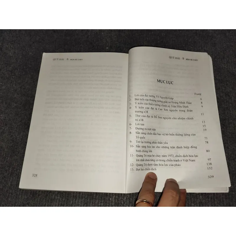 MÙA HÈ CHÁY - QUÝ HẢI 993159