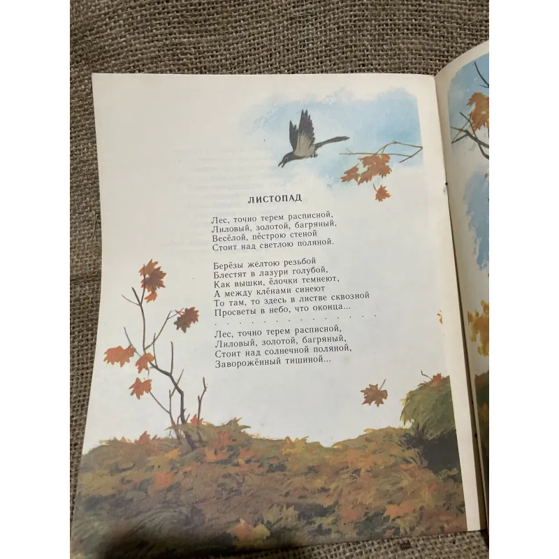 Truyện tranh tiếng Nga- Л.А.БУНИН - ДЕТСТВО 934448