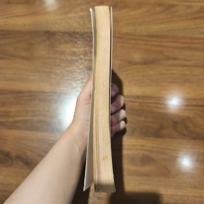 Maniac Magee - Jerry Spinelli 761990