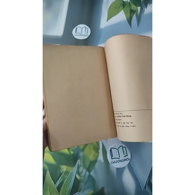 [XƯA] Hình Bóng Người Xưa (1991) - Max Du Veuzit 997732
