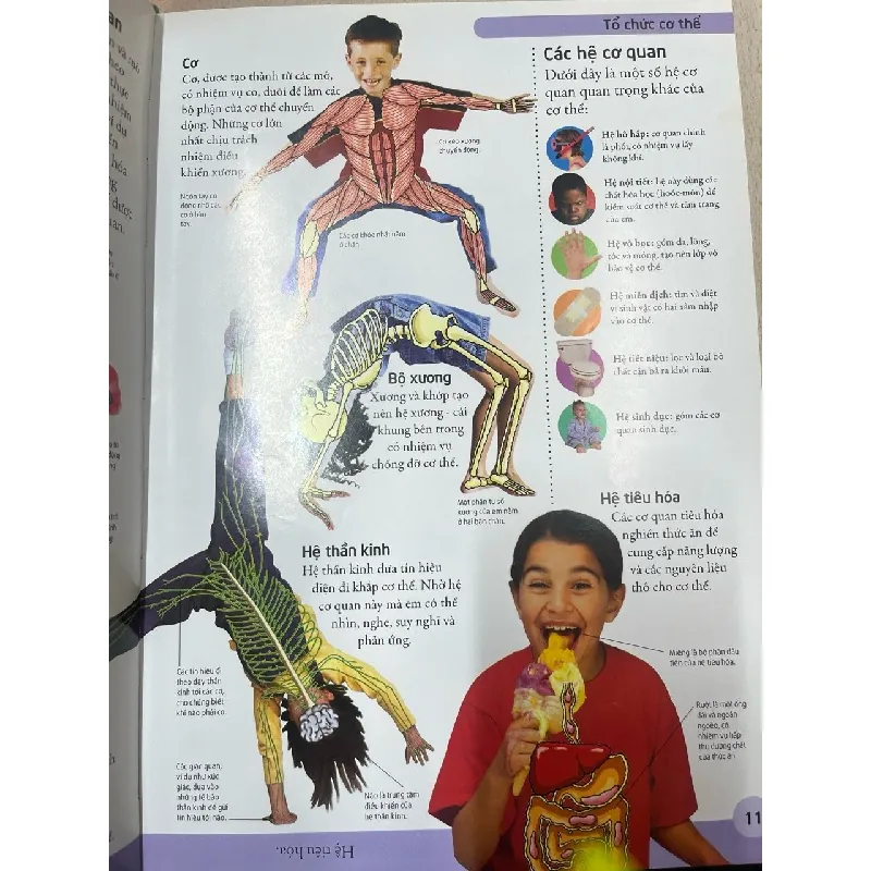 Bách khoa cho trẻ em: Bách khoa cơ thể người 705226