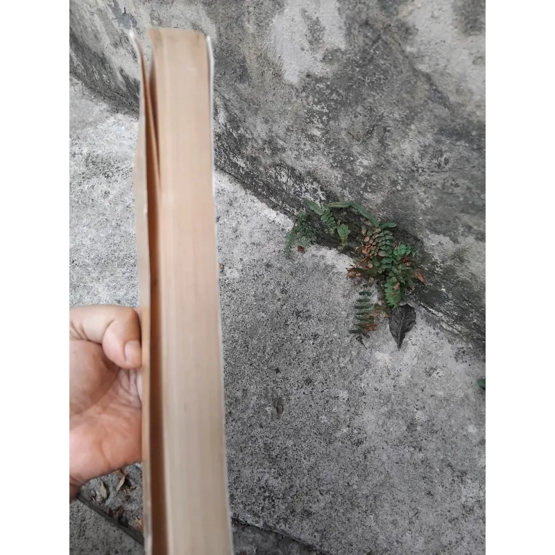Văn học trung đại Việt Nam dưới góc nhìn văn hóa của GS Trần Nho Thìn  1022805