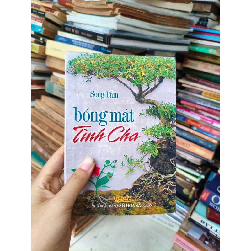 Bóng mát tình cha 🌱 463248