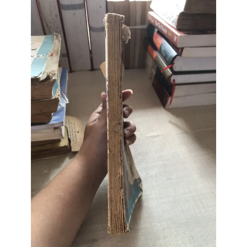 Tiếng Việt lớp 5 tập 2 993453