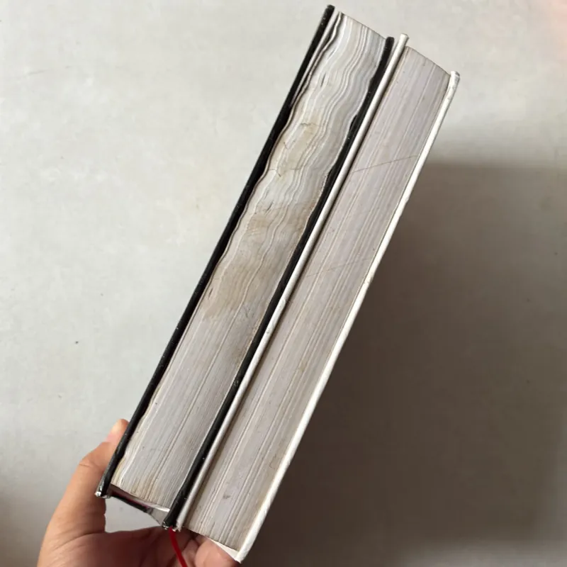 Sherlock Holmes toàn tập (Tập lẻ 2, 3) - Conan Doyle - 2010s 756782