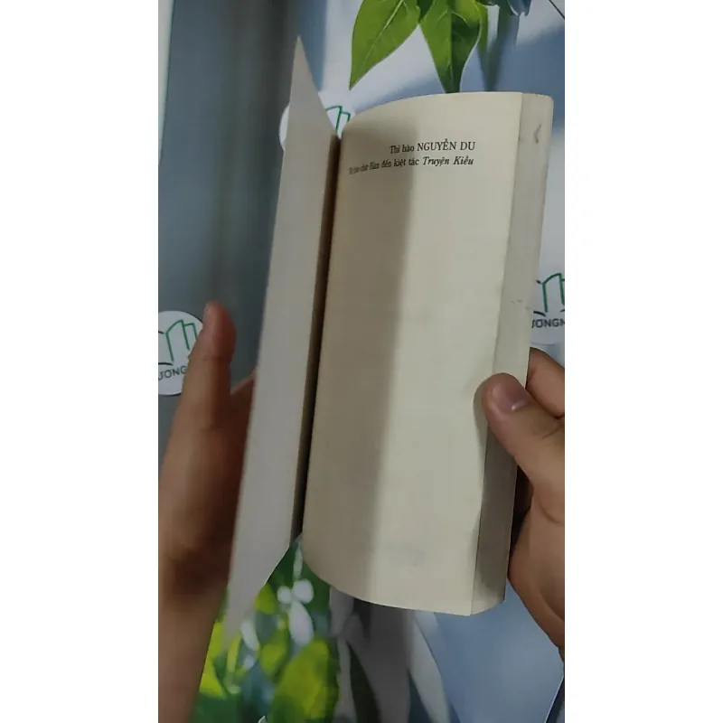 Thi Hào Nguyễn Du - Từ Thơ Chữ Hán Đến Kiệt Tác Truyện Kiều - PGS. TS. Nguyễn Hữu Sơn.  798439