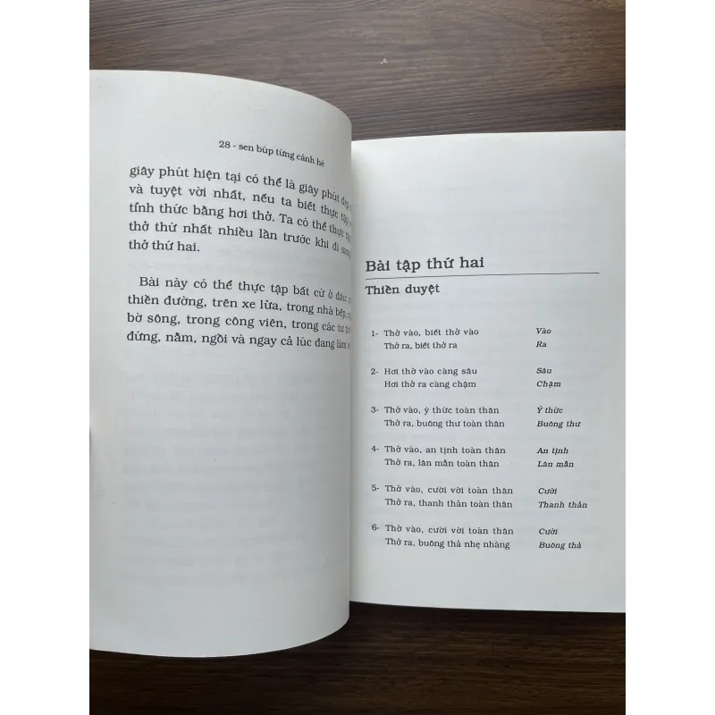 Sen búp từng cánh hé - Thích Nhất Hạnh 991447