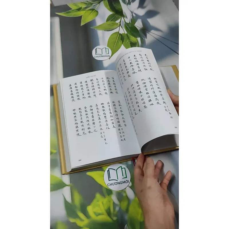 [MIỄN PHÍ BỌC SÁCH] Đinh Nho Hoàn: Thân Thế Và Sự Nghiệp - Hoàng Giáp 750797