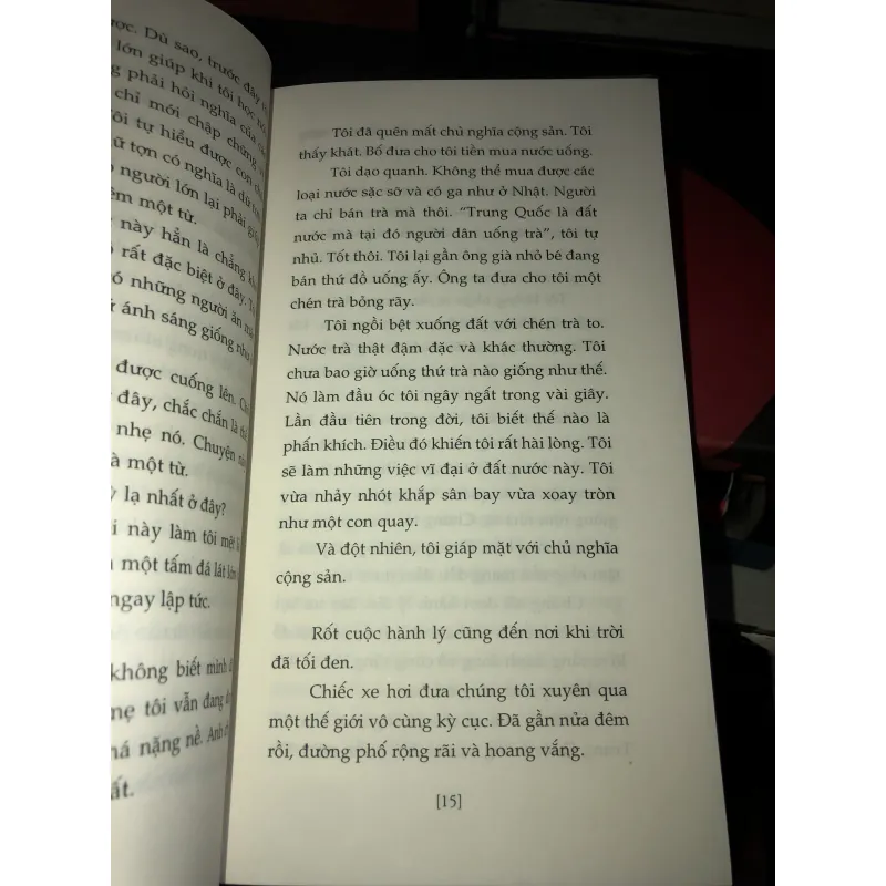 Huỷ hoại vì yêu - Amélie Nothomb  993823