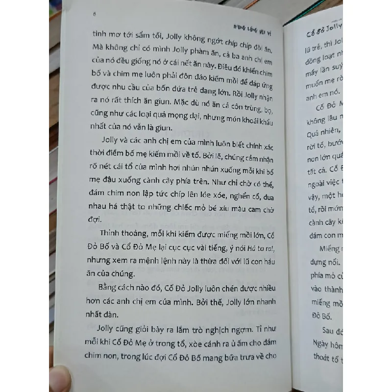 Thung lũng vui vẻ: Chuyện của Cổ Đỏ Jolly - Arthur Scott Bailey (Vũ Danh Tuấn dịch) 577766