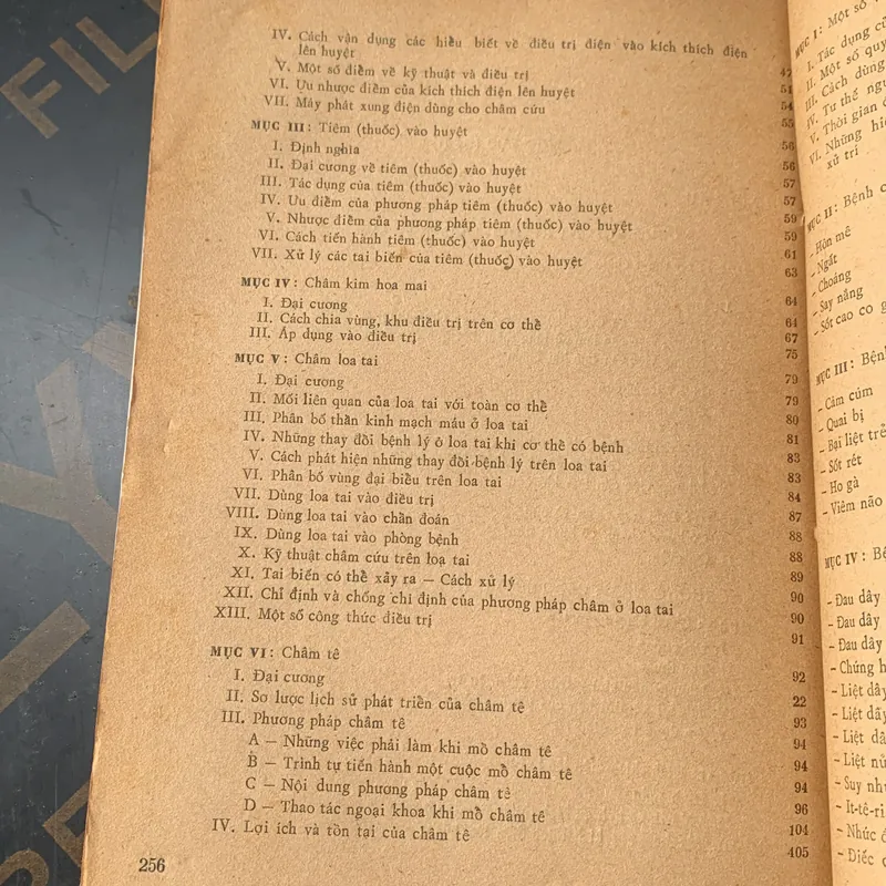 Châm cứu học, Viện Đông y, bác sĩ Hoàng Bảo Châu 598984