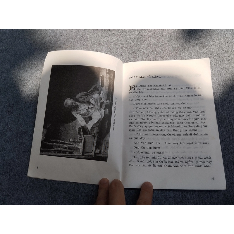 ĐỜI THƯỜNG BÁC HỒ 549074