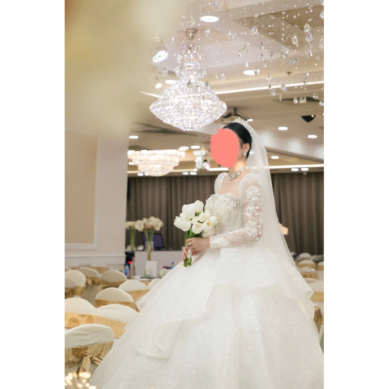 Váy cưới cúp ngực dài tay đính đá eo V corset 474112