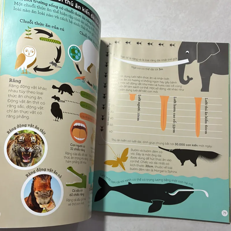 Vũ trụ qua lăng kính số - Paul Rockett 791615