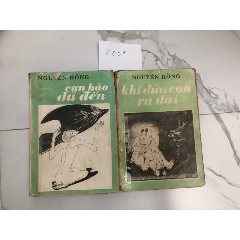 Con hẻo đã đẻn & Khi dìu con ra đời - Nguyễn Hồng - Tiểu thuyết xã hội / Hồi ký 603637