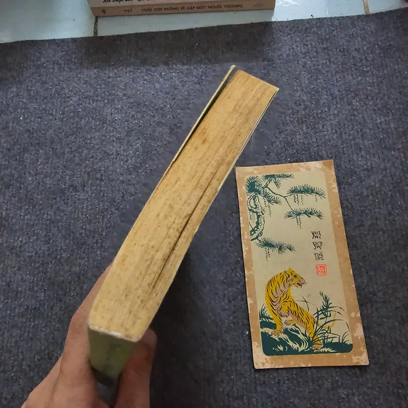 Nếu biết trăm năm là hữu hạn - phạm lữ ân 751610