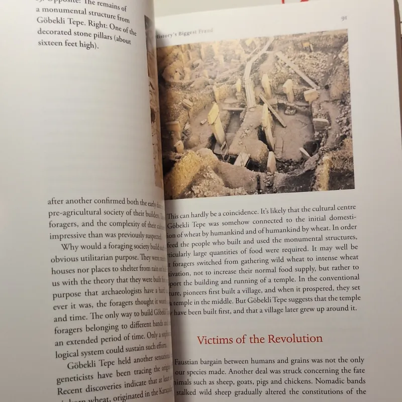 Yuval Noah Harari - Sapiens: A Brief History of Humankind (bản in màu) 933931
