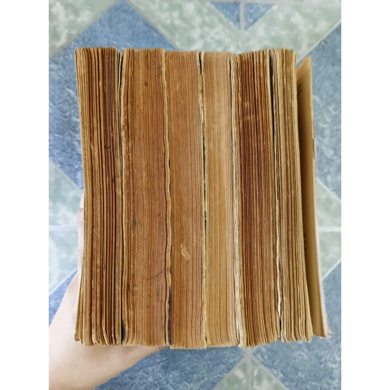 Cây cỏ thường thấy ở Việt Nam ( 6 tập) 791648