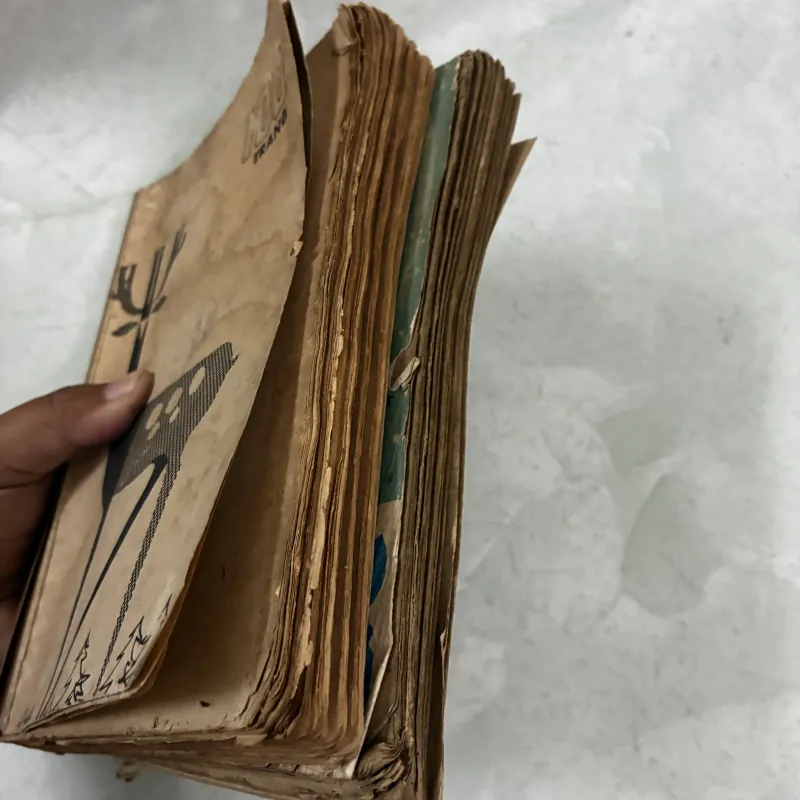 Người tình tuyệt vời (Bộ 2 tập) 1030851