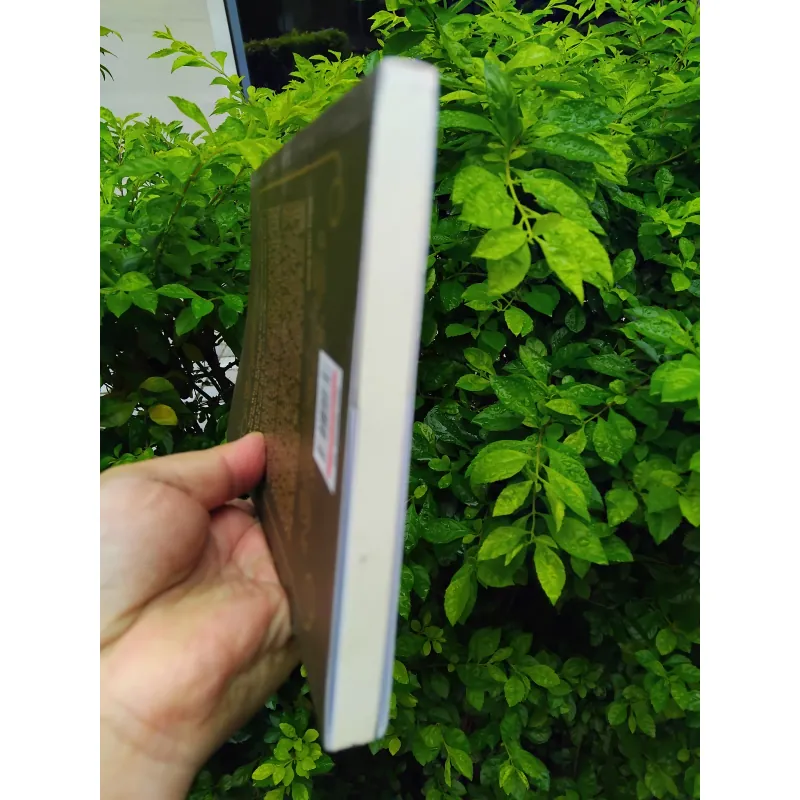 Romeo và Tuyết tự truyện của Jerry White 1000247