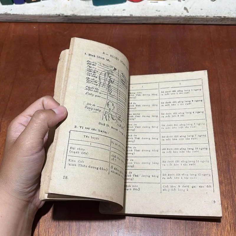 [Sách Ố Vàng, Chữ Hơi Mờ, Mục Chỗ Ghim Bấm] - II Phương Pháp Xoa Bóp - GS Hoàng Bảo Châu 798973