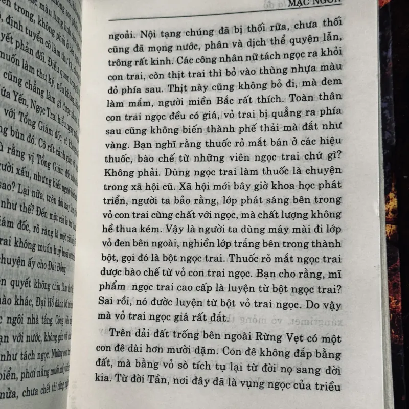 Rừng xanh lá đỏ 1001641