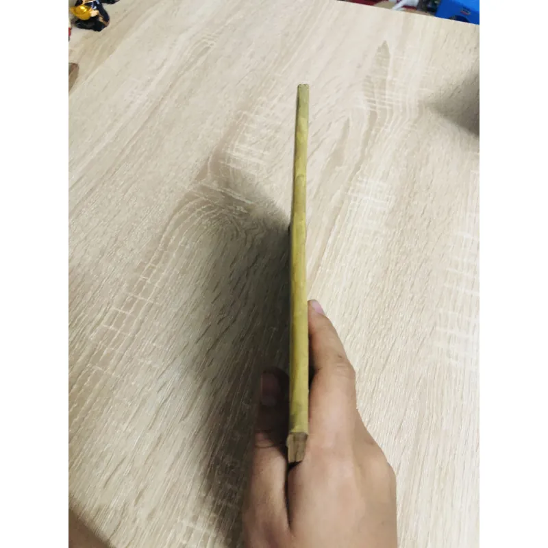 KỸ THUẬT TRỒNG MỘT SỐ RAU ĐẬU XUẤT KHẨU  956858