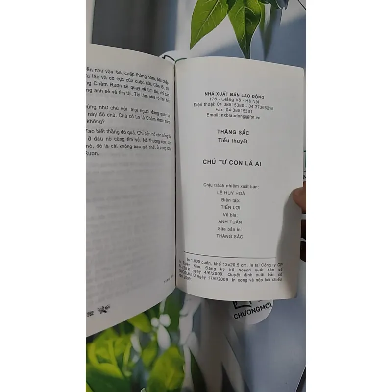 Chú Tư Con Là Ai - Thăng Sắc 798465