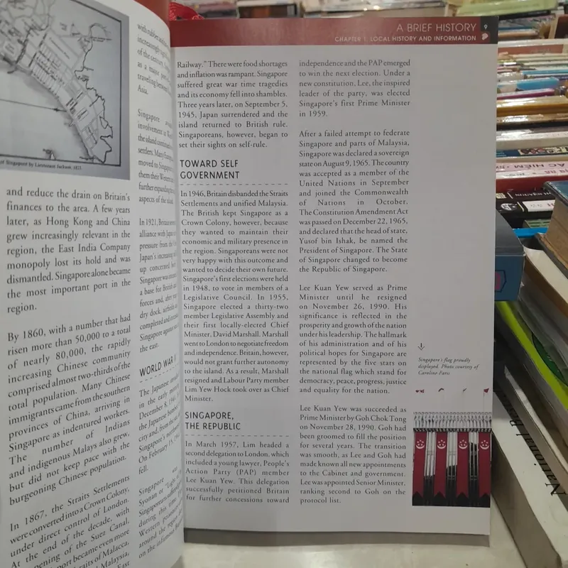 LIVING IN SINGAPORE, A REFERENCE GUIDE 574225