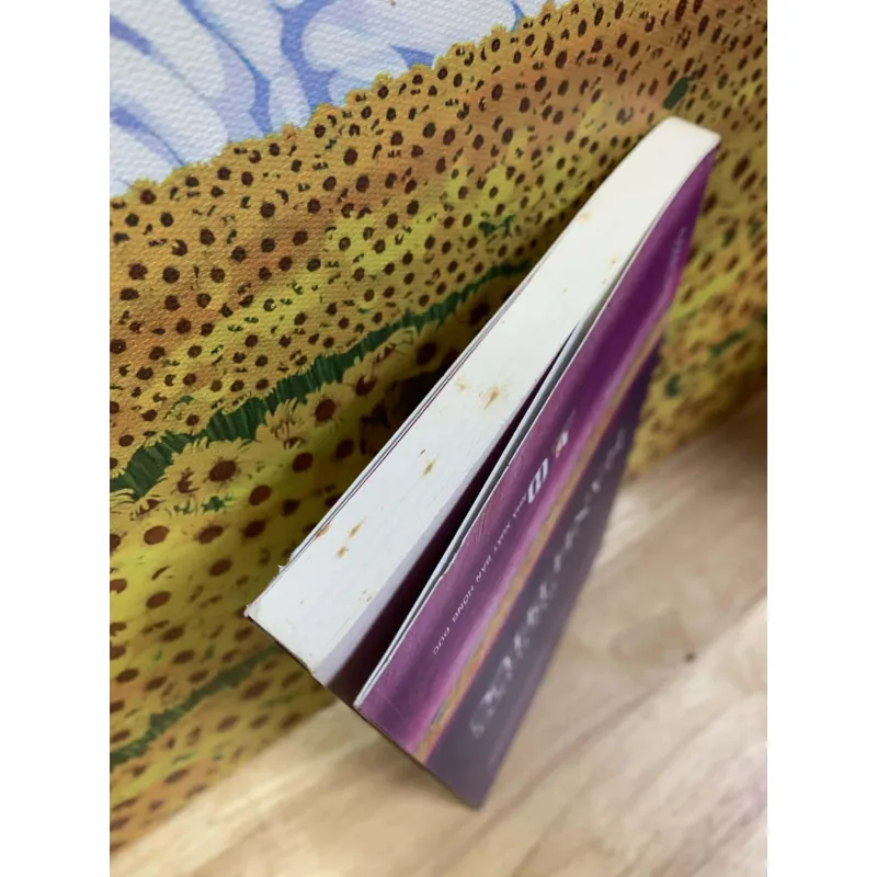 Dẫn Luận Về Hạnh Phúc - Daniel M. Haybron 782433