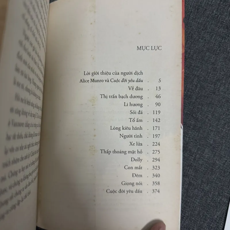 Cuộc đời yêu dấu - Alice Munro 925883