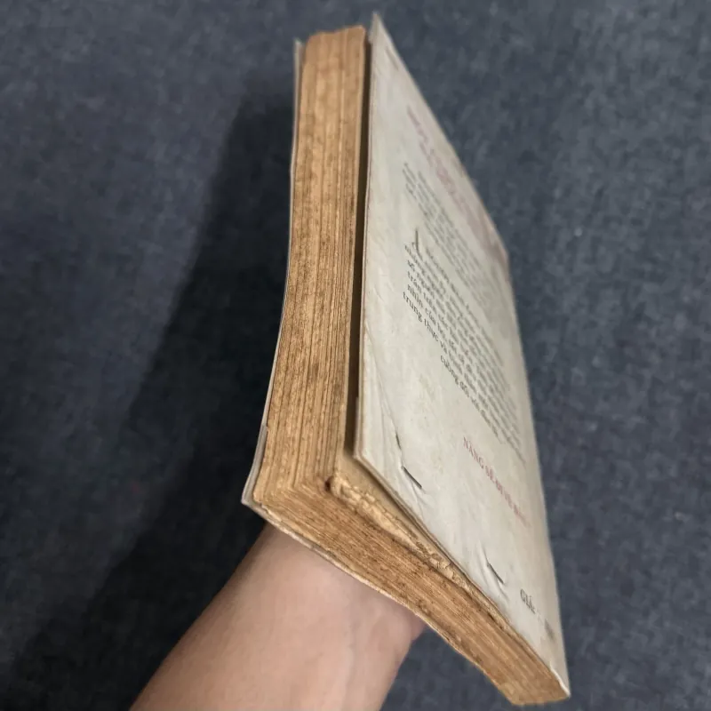 Người đàn bà lạ lùng - Francoise Sagan 1031722