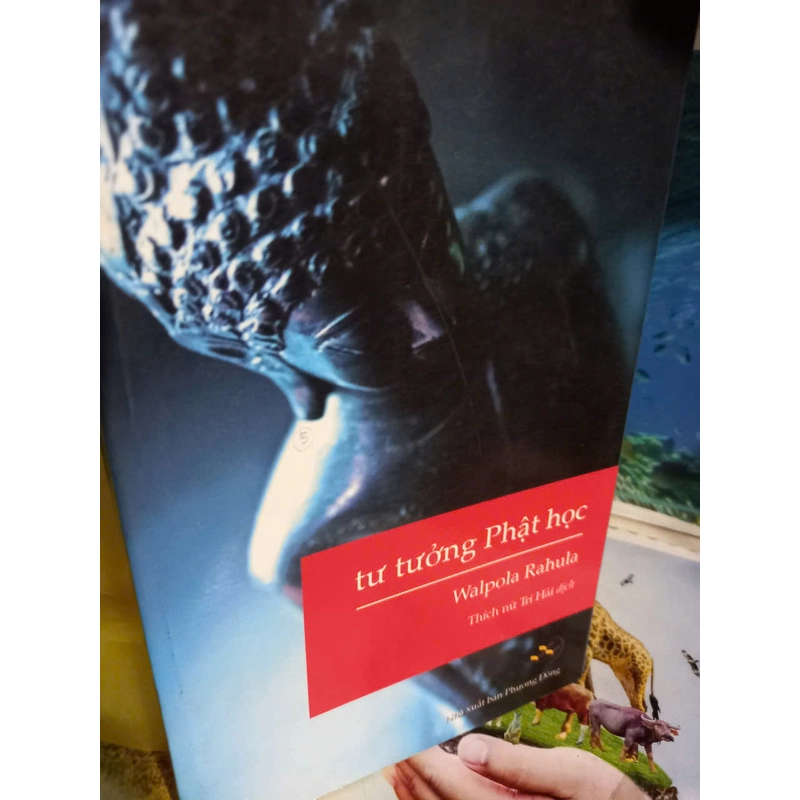 tư tưởng phật học 494694