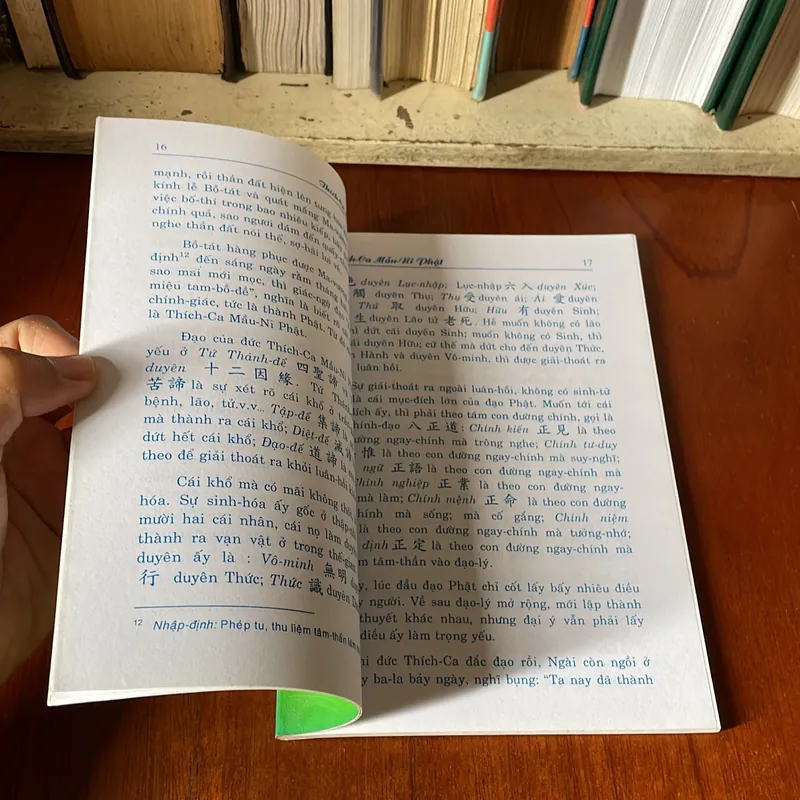 II Sách Phật Giáo: Phật Lục - Trần Trọng Kim - 2013 575141