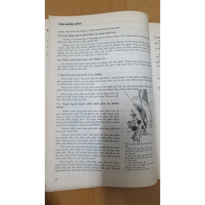 BỆNH HỌC LAO VÀ BỆNH PHỐI  780295