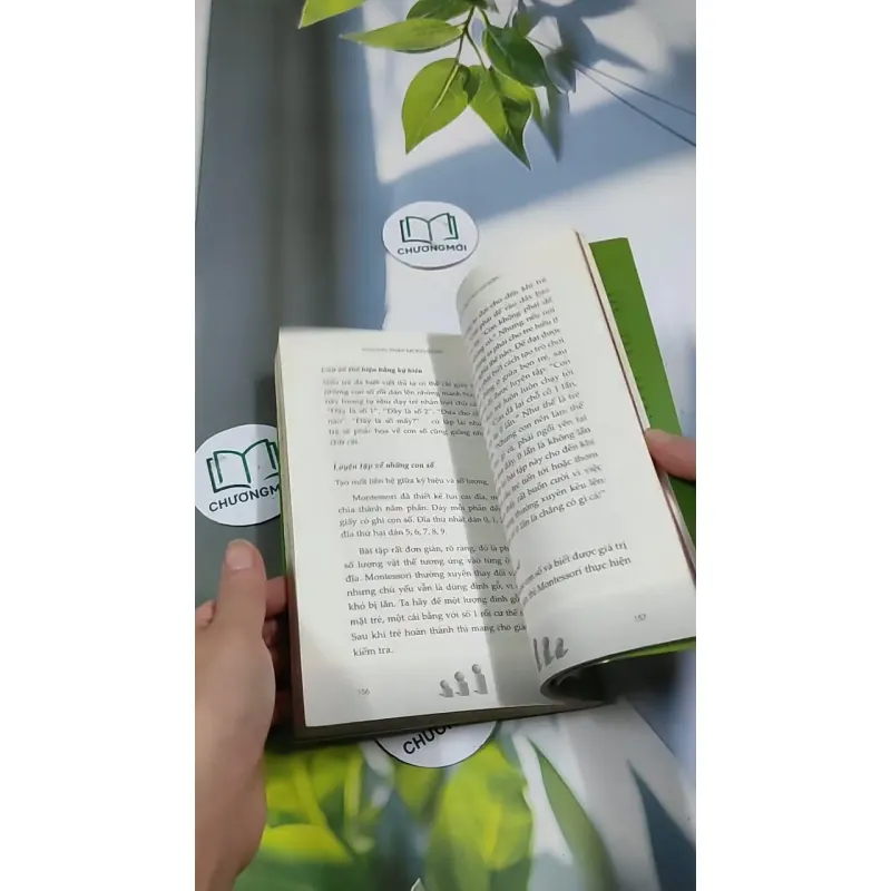 Phương Pháp Montessori - Nghệ Thuật Nuôi Dạy Trẻ Đỉnh Cao 705669