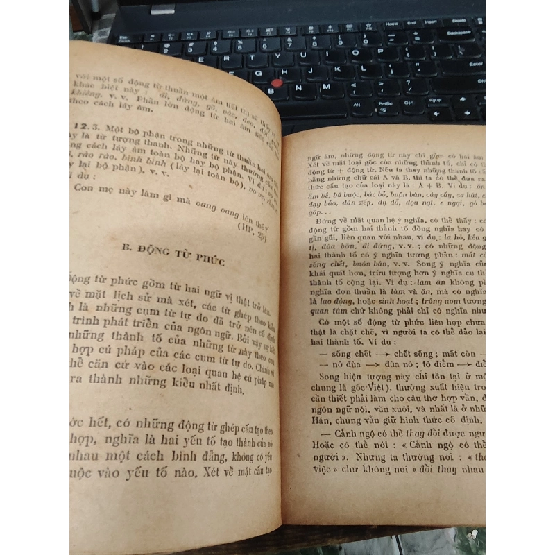 Động từ trong tiếng Việt - Nguyễn Kim Thản 1032868