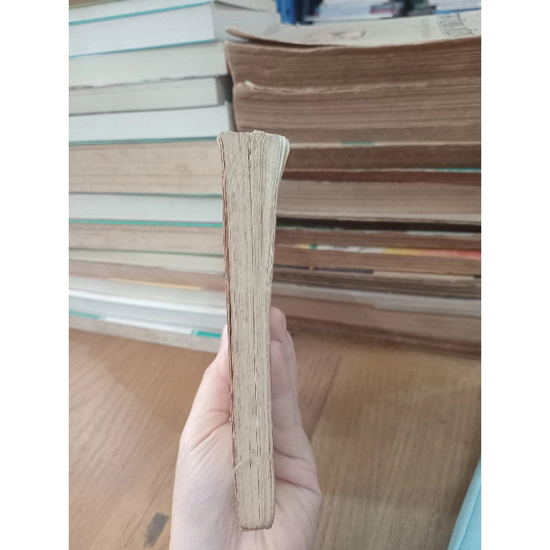 Liệt pháo tân biên - Công Sĩ 973984