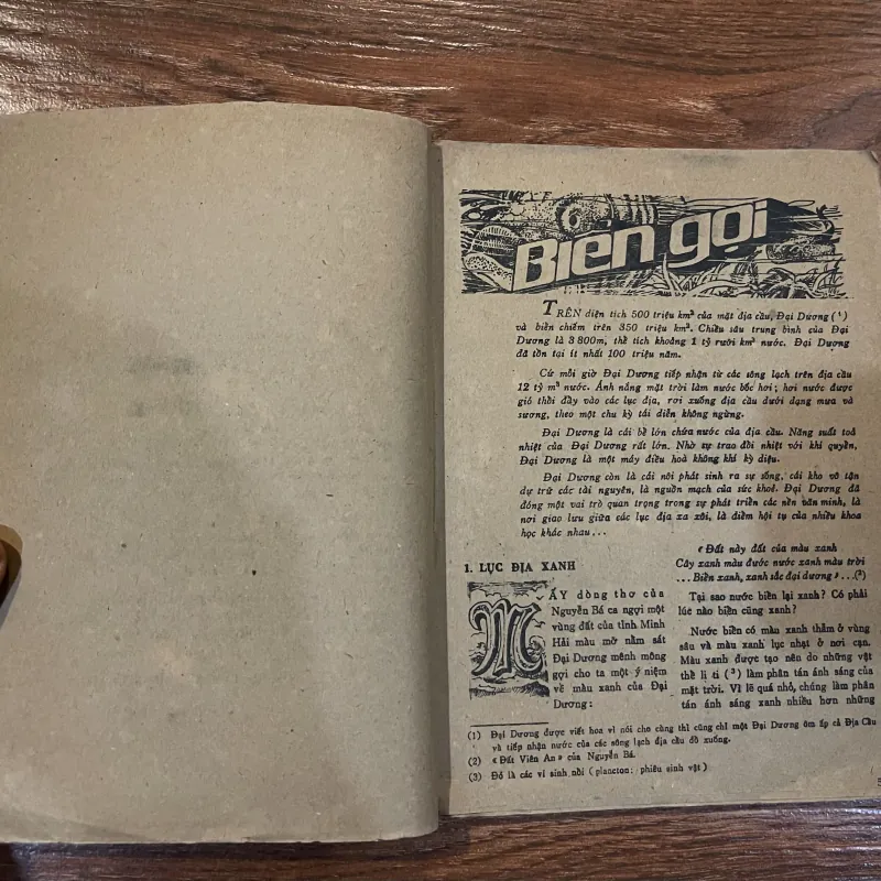 Biển gọi  (o5) 974724