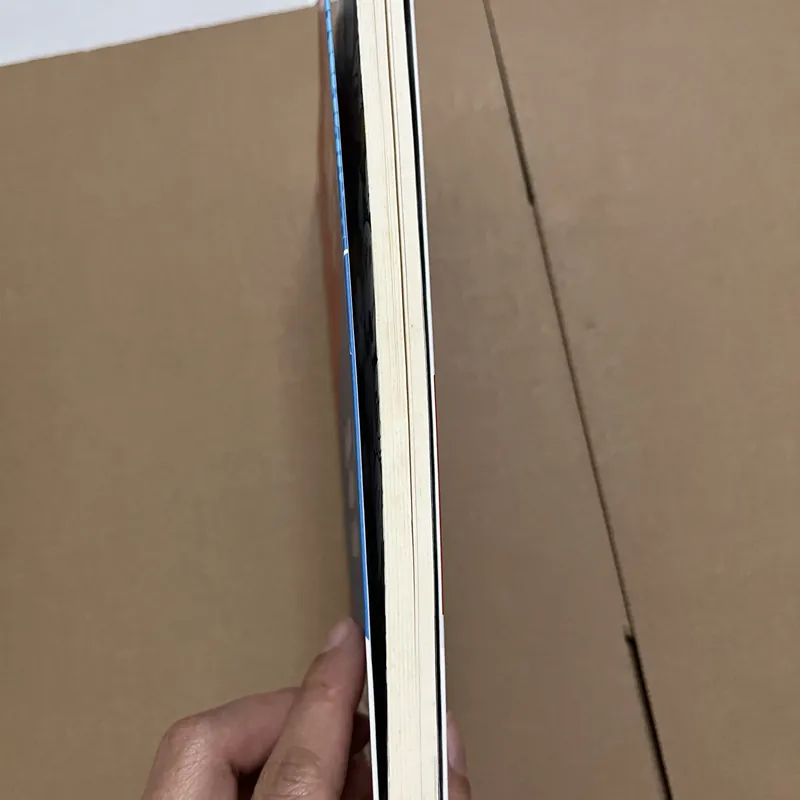 Bên trên tổn thương là giá trị, sâu hơn dối trá là lý trí 605923