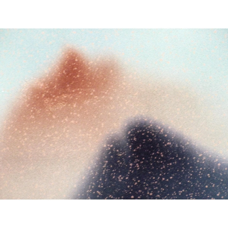 Áo khoác / Áo khoác đường đi 2 món - Hàng hiệu Authentic 875720