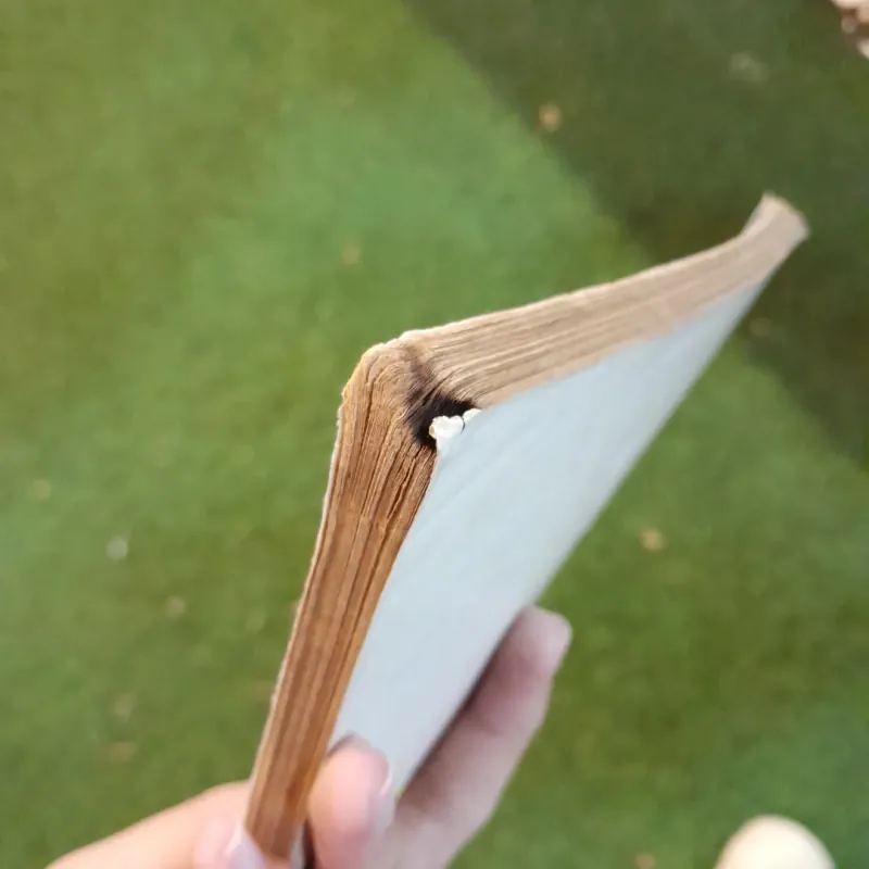 TÌNH TRONG BÓNG TỐI - NHẬT CHIÊU 785466